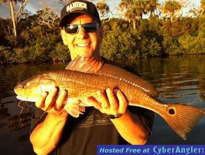 Click to Enlarge Photo