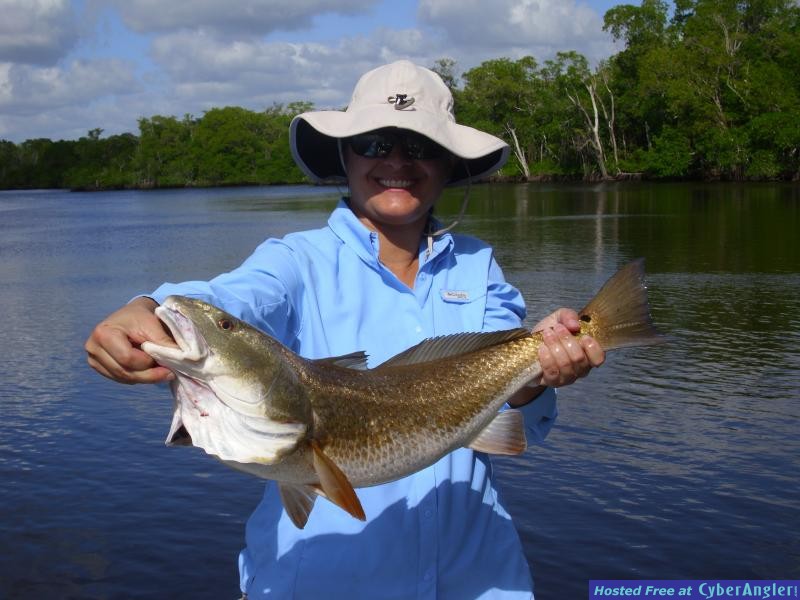 Click to Enlarge Photo