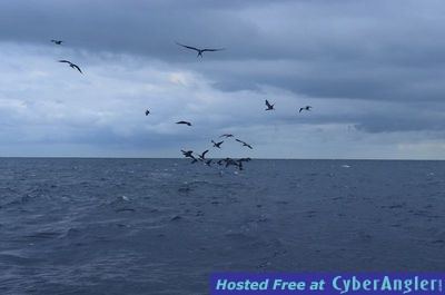 Click to Enlarge Photo