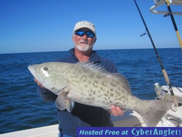 30-inch gag grouper