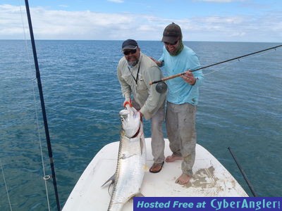 Tarpon on fly