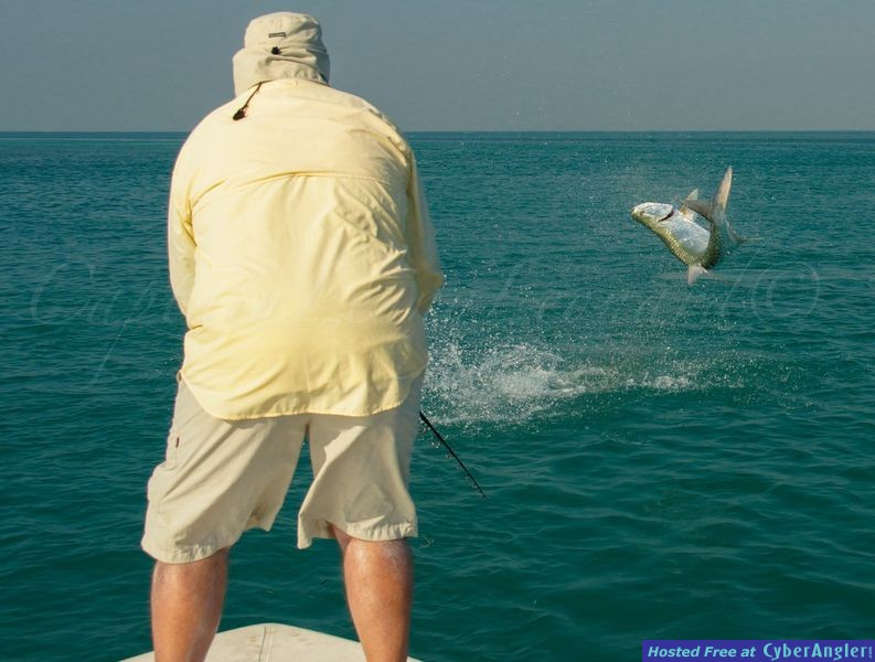 Fishing is fun