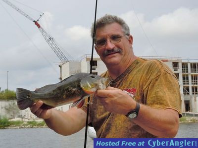 Click to Enlarge Photo