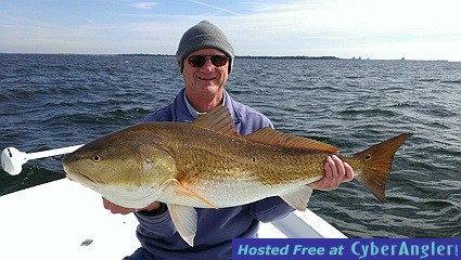 Redfish