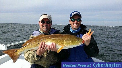 Redfish
