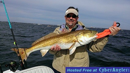Redfish