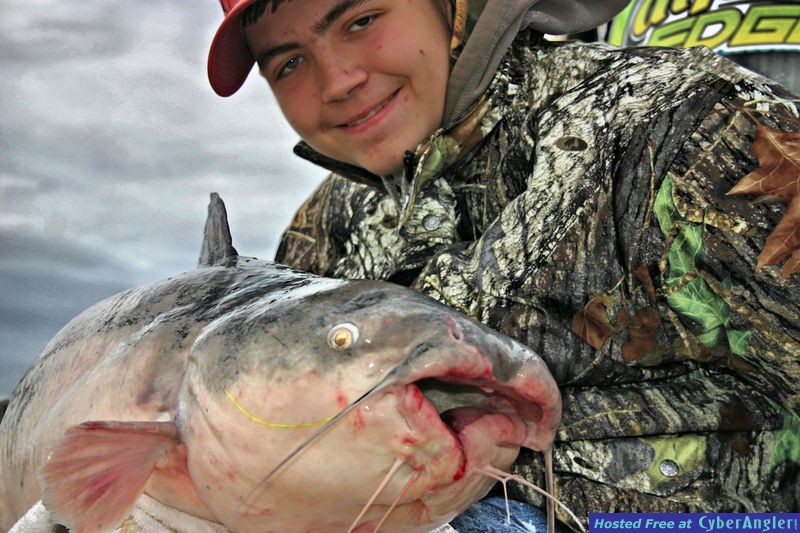 Blue Catfish