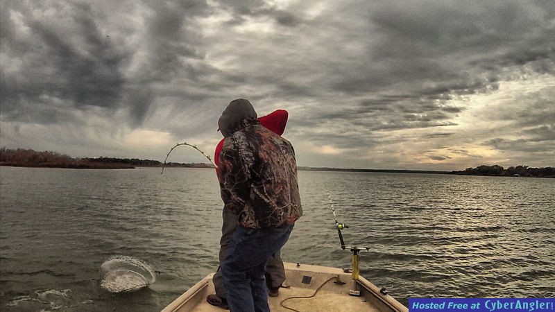 Landing Another Blue Catfish