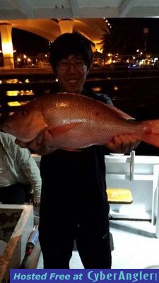 Mutton snapper