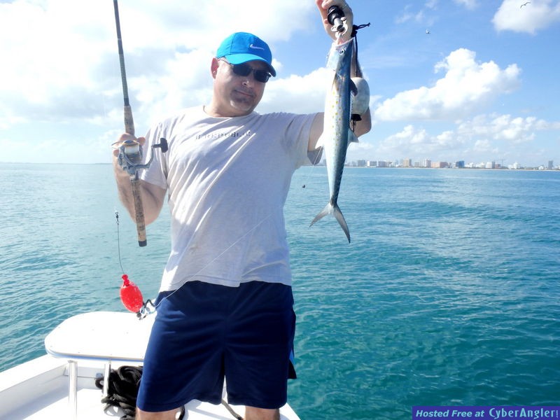 Hal_n_mackerel