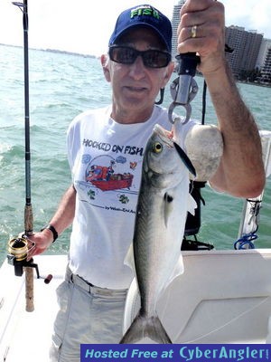 Click to Enlarge Photo