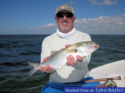 Brian Logun Sarasota Bay fly bluefish