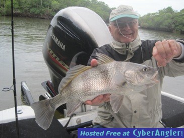 20-inch black drum