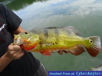 Miami Fresh Water Fishing