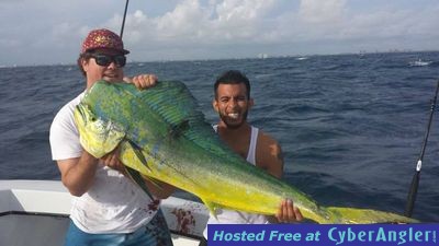 Click to Enlarge Photo