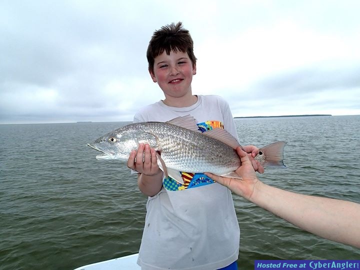 addison_redfish
