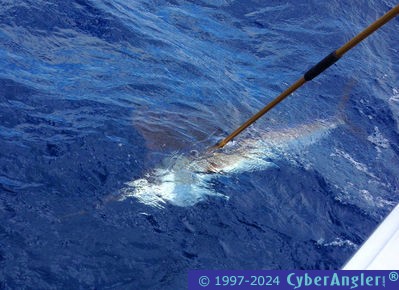 Click to Enlarge Photo