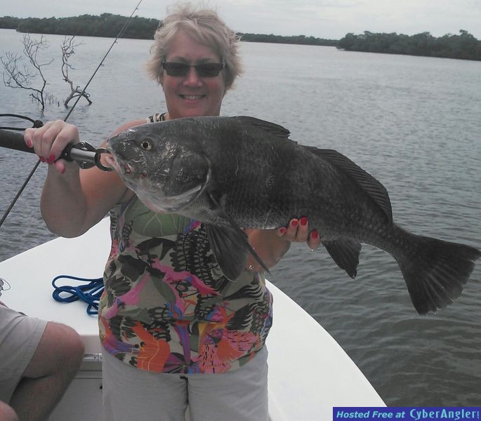 Hearty Black Drum in Naples Backwaters