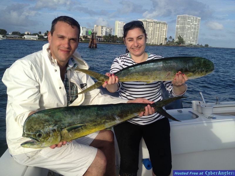 Hillsboro Inlet Mahi