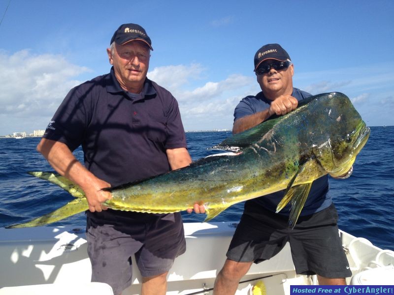 Hillsboro Inlet Mahi