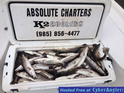 Click to Enlarge Photo