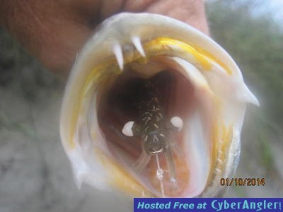 Click to Enlarge Photo