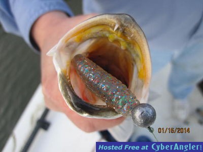 Click to Enlarge Photo