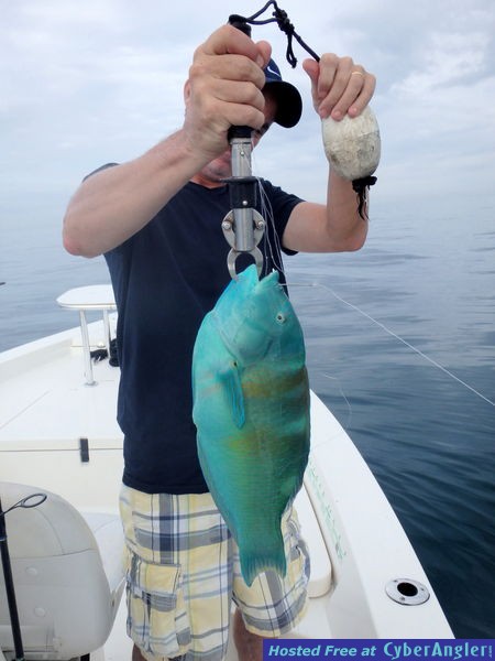 Mark_n_parrot_fish