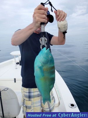 Click to Enlarge Photo