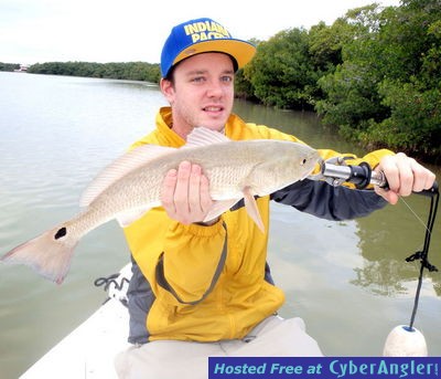 Click to Enlarge Photo