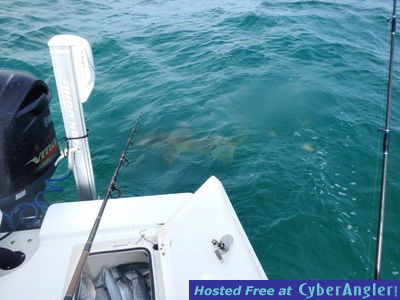 Click to Enlarge Photo