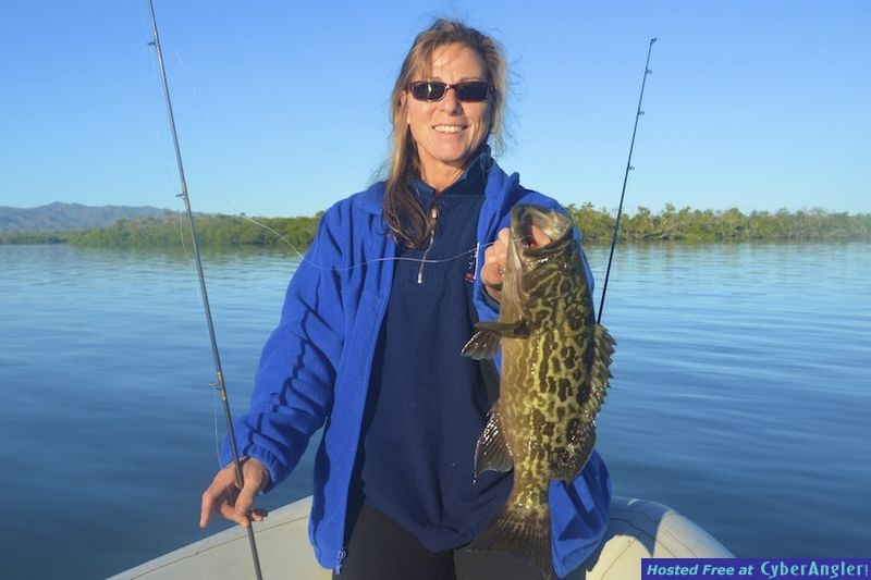 Click to Enlarge Photo