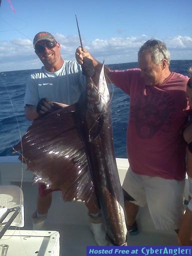 Sailfish_Bob