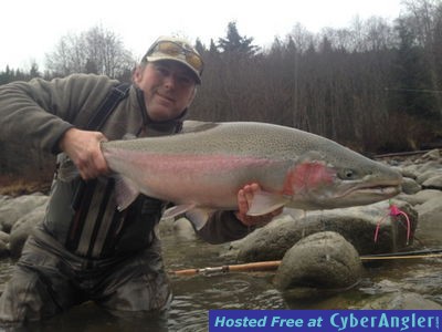 Terrace BC Steelhead http://www.noelgyger.ca