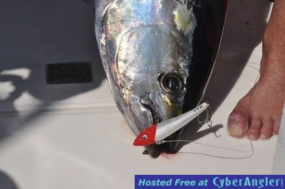 Click to Enlarge Photo