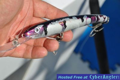 Click to Enlarge Photo