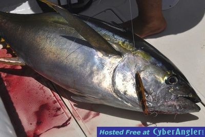 Click to Enlarge Photo