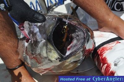 Click to Enlarge Photo