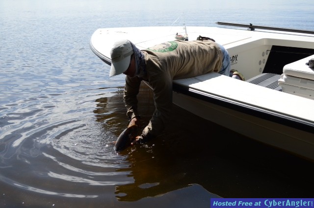 redfish_2