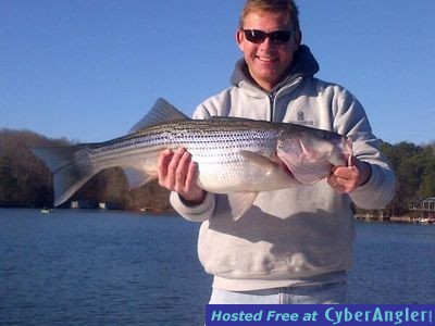 Click to Enlarge Photo