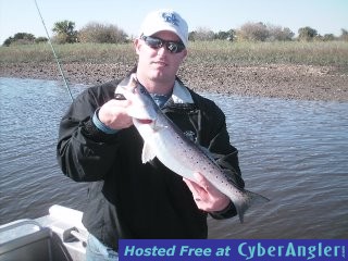 www.captdaves.com