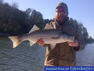 Click to Enlarge Photo