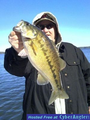 Click to Enlarge Photo