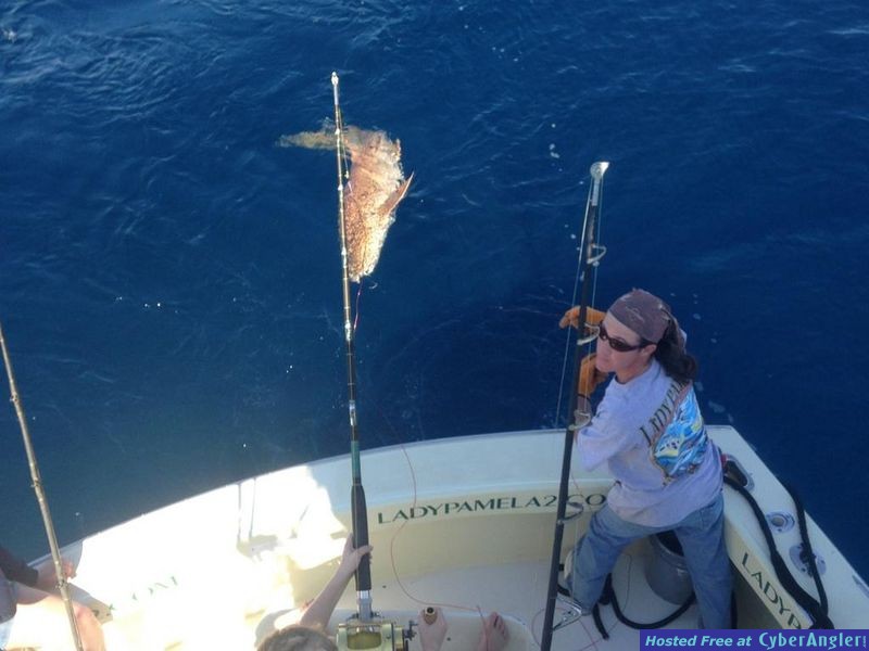Big Nurse Shark Fort Lauderdale