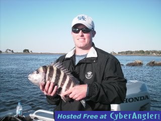 www.captdaves.com