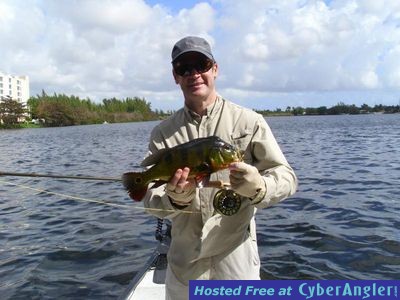Miami Peacock bass fishing