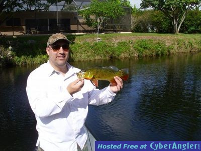 Miami Peacock bass fishing