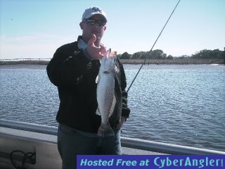 www.captdaves.com