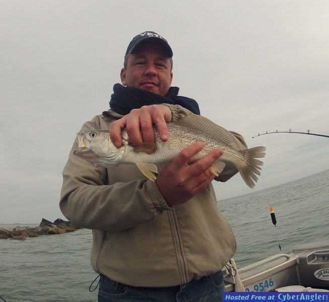 www.captdaves.com