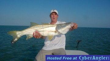 Big Snook